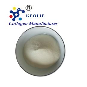 Hydrolyzed bovine collagen