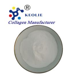 Undenatured Collagen Type II